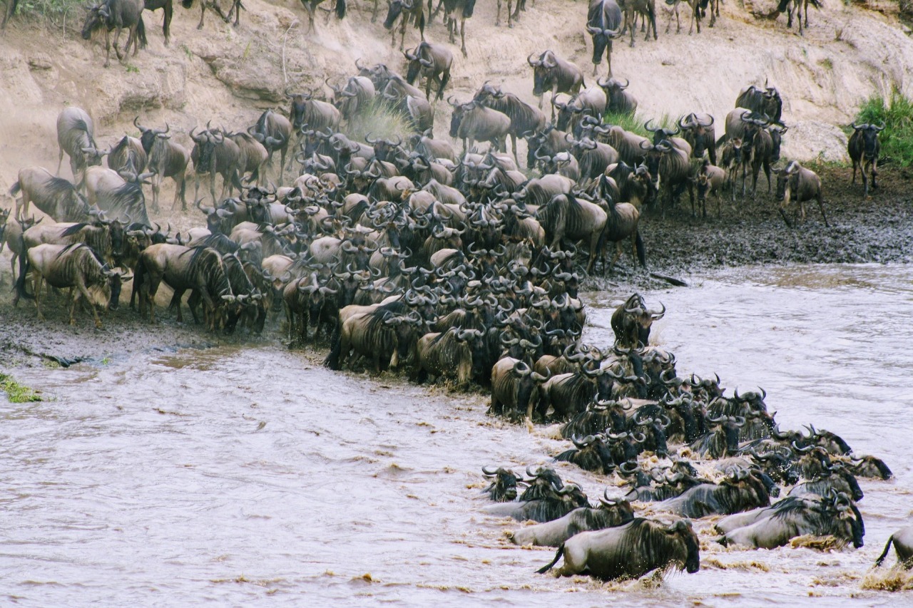 Image: Mount Kenya & Masai Mara